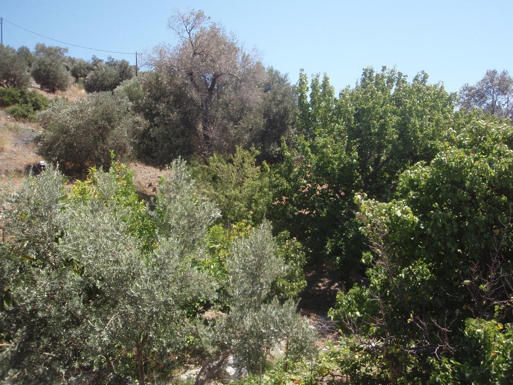 Lemon House Διαμέρισμα Κοκκάρι Εξωτερικό φωτογραφία