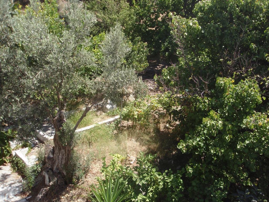 Lemon House Διαμέρισμα Κοκκάρι Εξωτερικό φωτογραφία